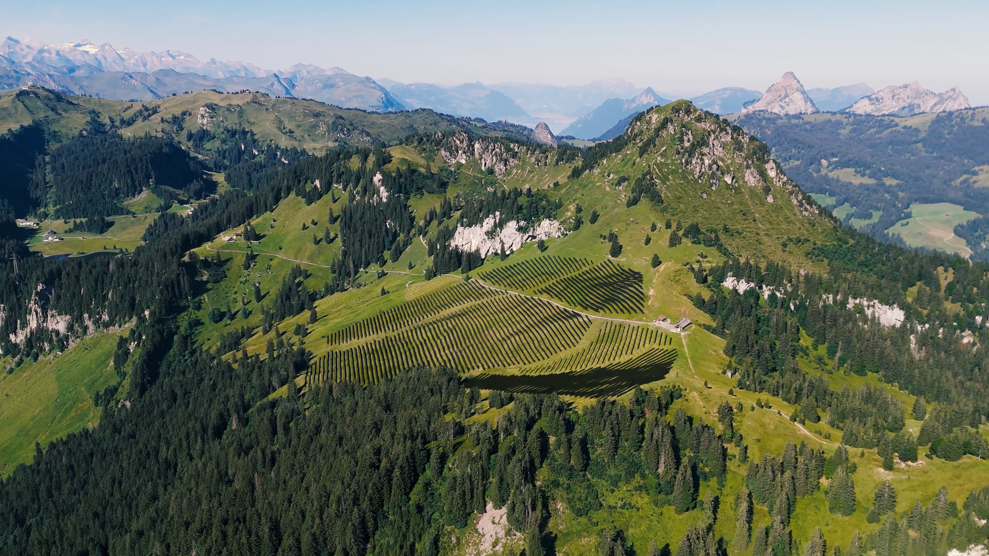 Axpo und EWS planen im Kanton Schwyz die erste alpine Solaranlage