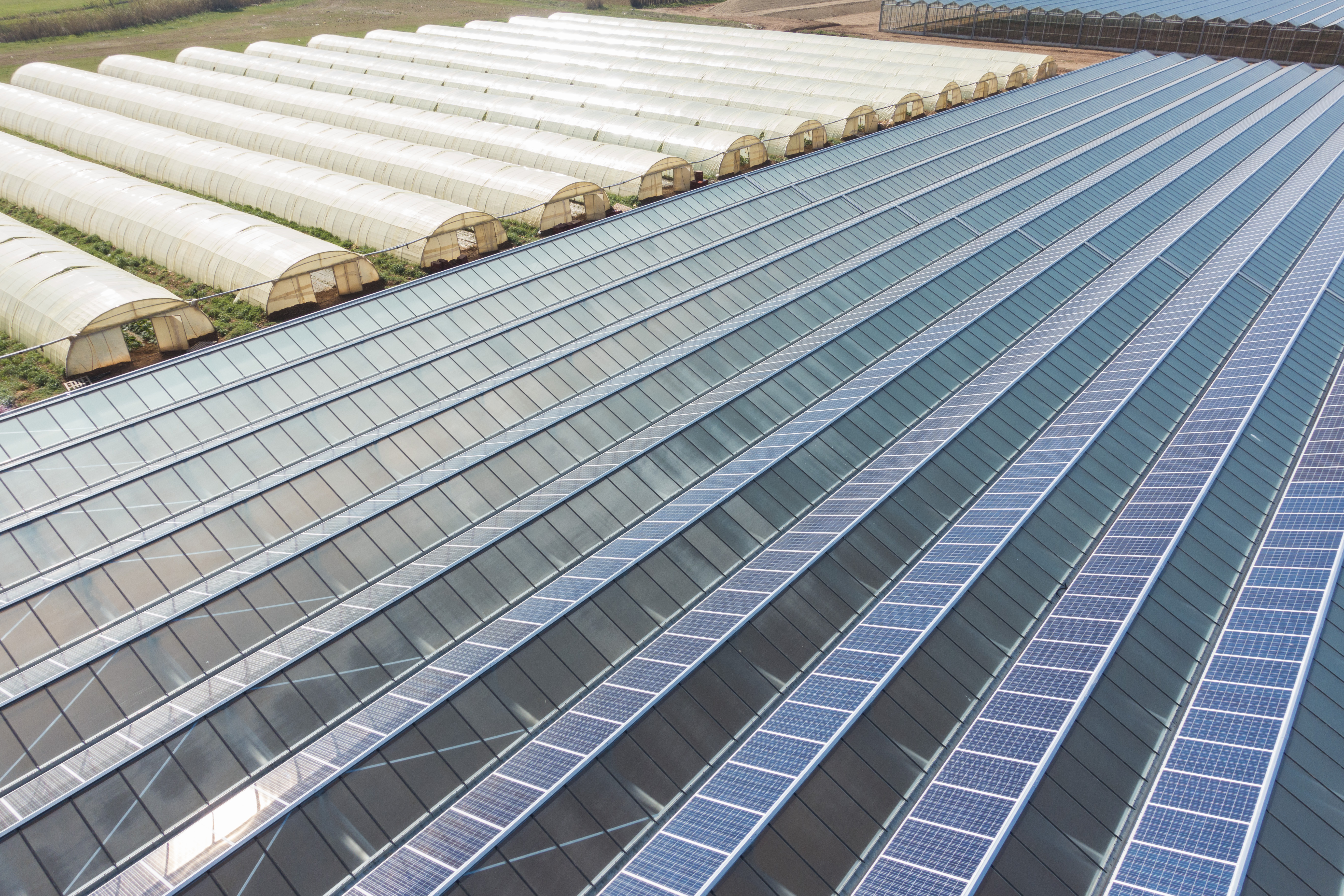 Solaranlagen auf Gewächshäuser produzieren grünen Strom, schützen die Pflanzen vor dem Wetter und optimieren die Arbeitsbedingungen.
